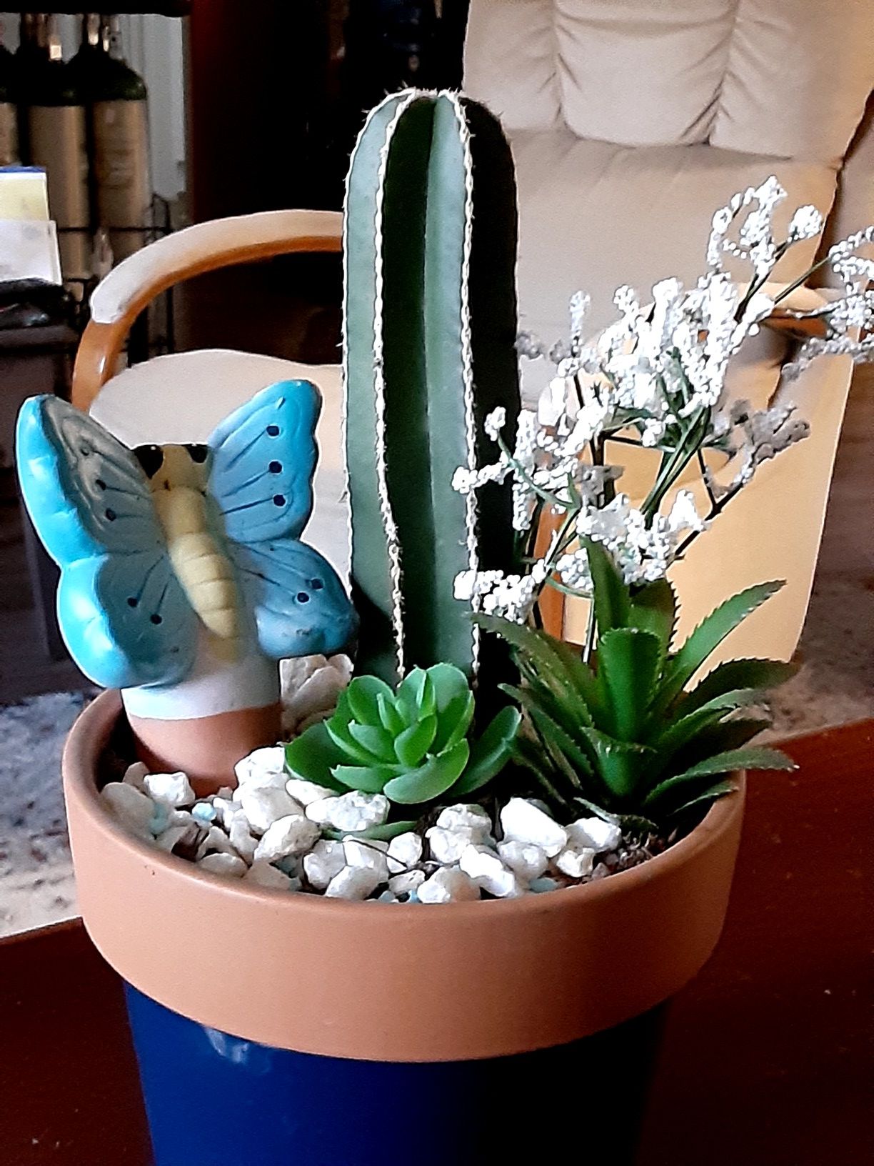 Pretty cactus and succulent garden