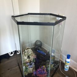 40 Gallon Fish Tank Must Go!!