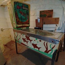 Estate / Moving Sale: 1950 - Presant 