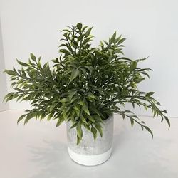 12" Tall Artificial Plant in Grey & White Pot