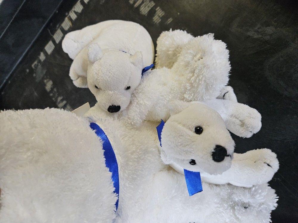 St Jude's Children's Research Hospital Polar Bear With Baby Polar Bears Attached