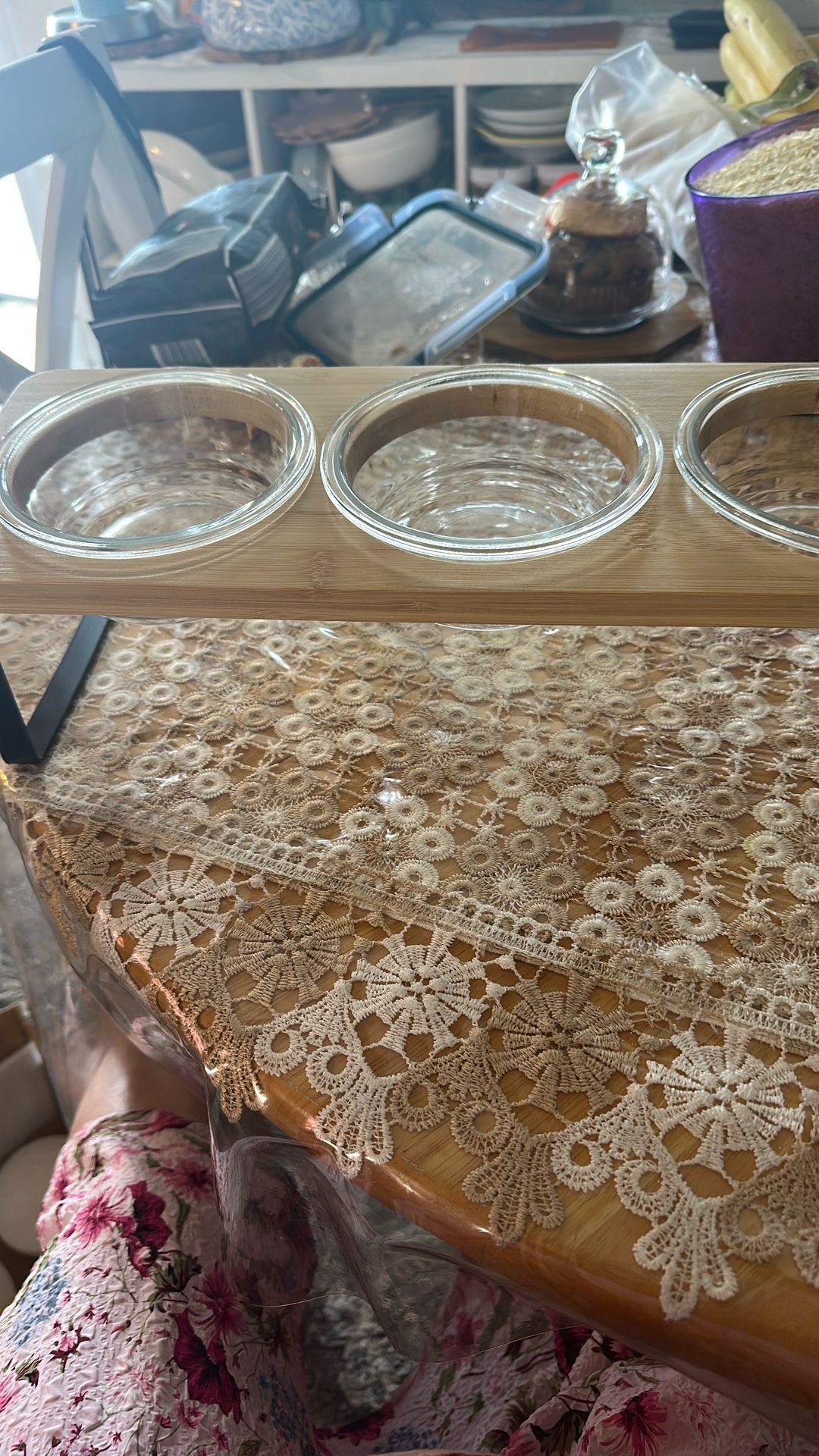 cat dishes