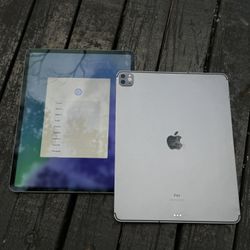 iPad Pro 12.9 4th generation 256GB WiFi + Cellular 