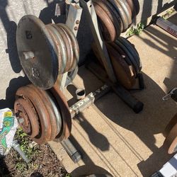Metal Workout plates for little bar