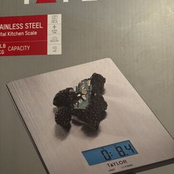 Kitchen Scale