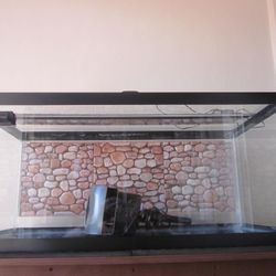 40 Gal . Fish Tank In Like New Condition . Must See To Fully Appreciate .  I Also Have Lid , Lamp , Filter , Glass Cleaner . Tank Is Only 5 Weeks Old 