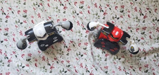 Fighting robots