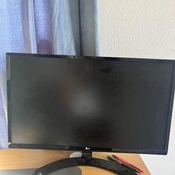 LG Monitor 