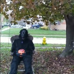 Halloween  Costumes 75