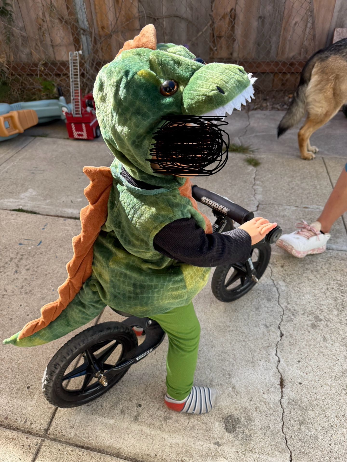 Dinosaur Costume 2T