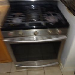 Stainless Steel Oven
