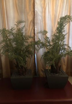 Faux Decorative Tree