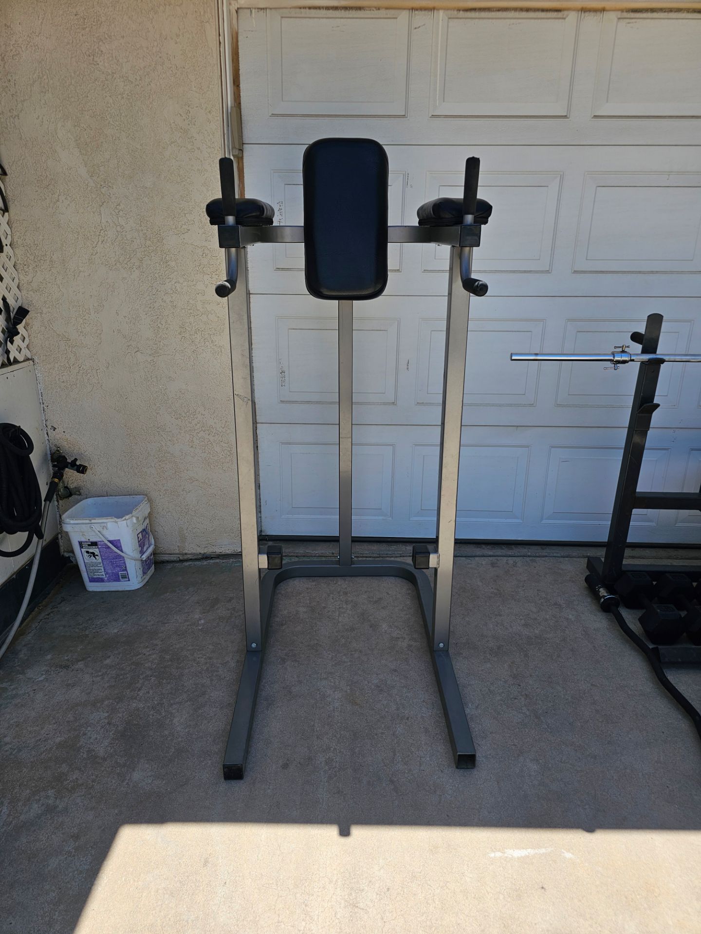 Gym Equipment leg raises Dips Station
