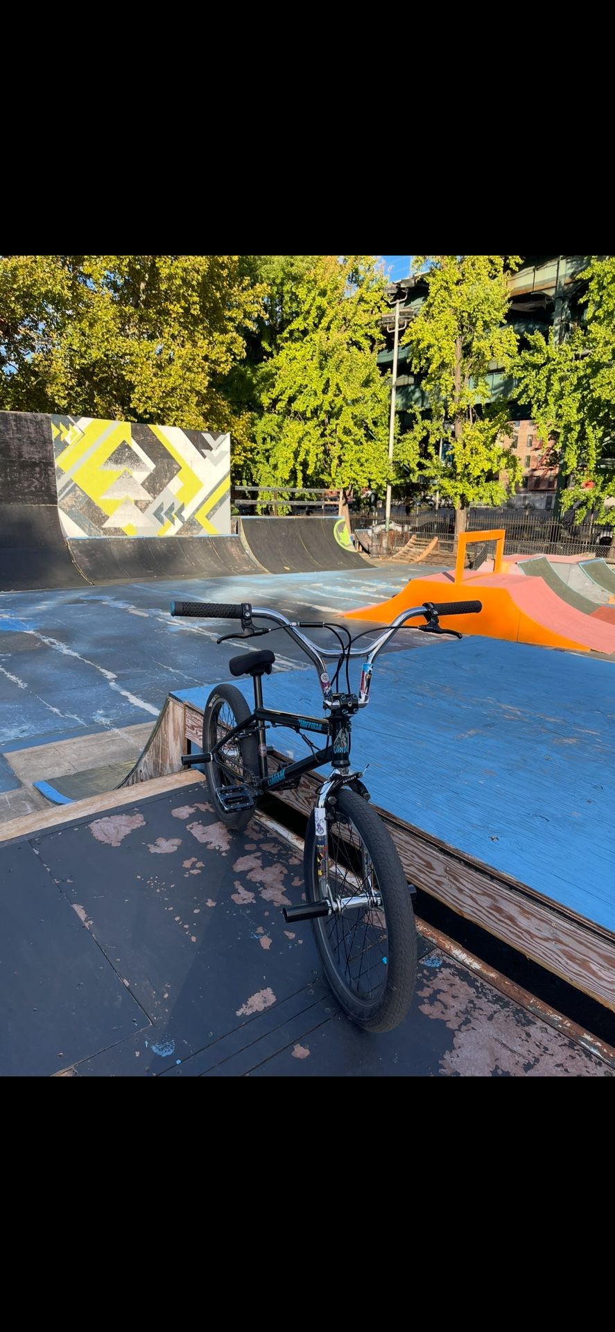 BMX 30th Anniversary of Hoffman Bikes 