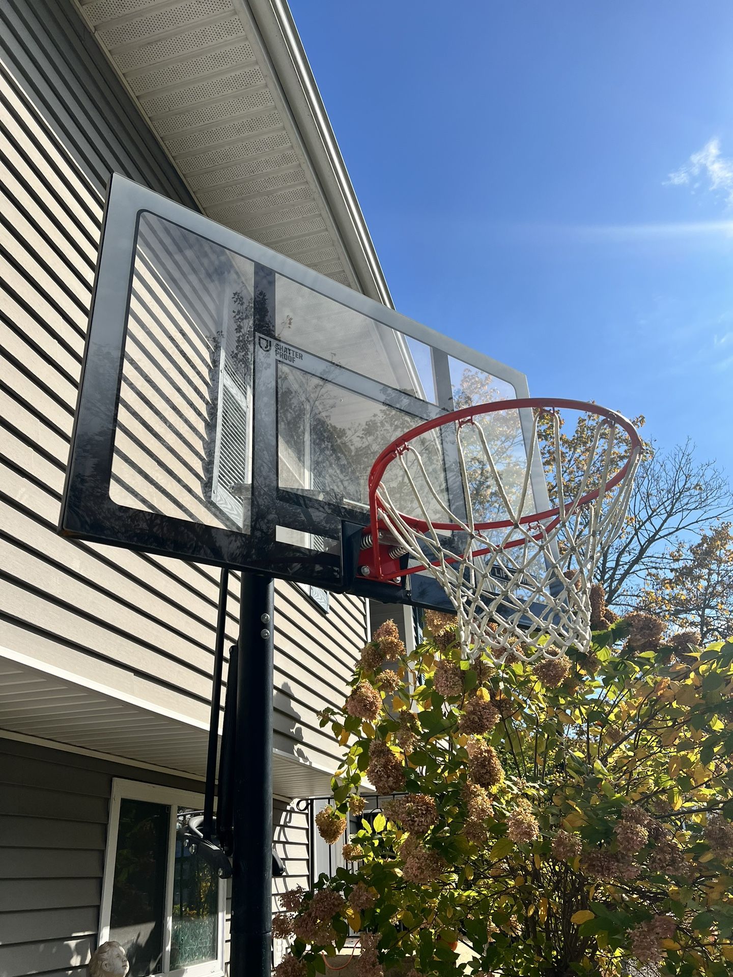 Basketball Hoop