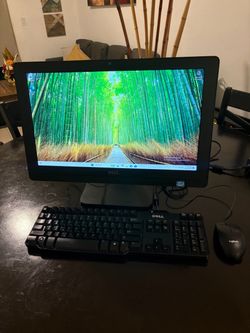 Dell OptiPlex 3011 Only one