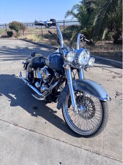 Harley softail
