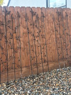 Metal Garden Trellis ( set of 3)