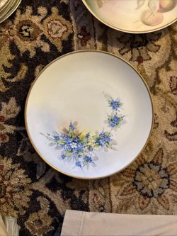 J & C Bavaria Handpainted Porcelain Plate