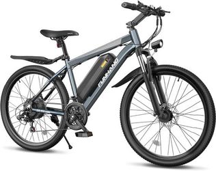 1000W E-Bike