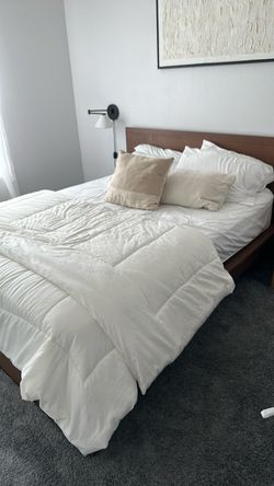 Queen bees with storage and mattress