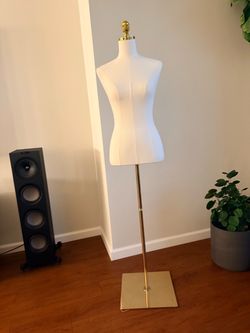 High quality Mannequin S body