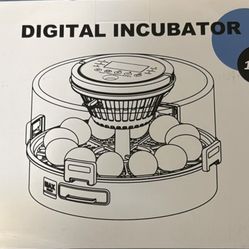 Incubators for Hatching Eggs