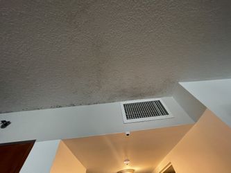 Water And Mold Damage Repair 