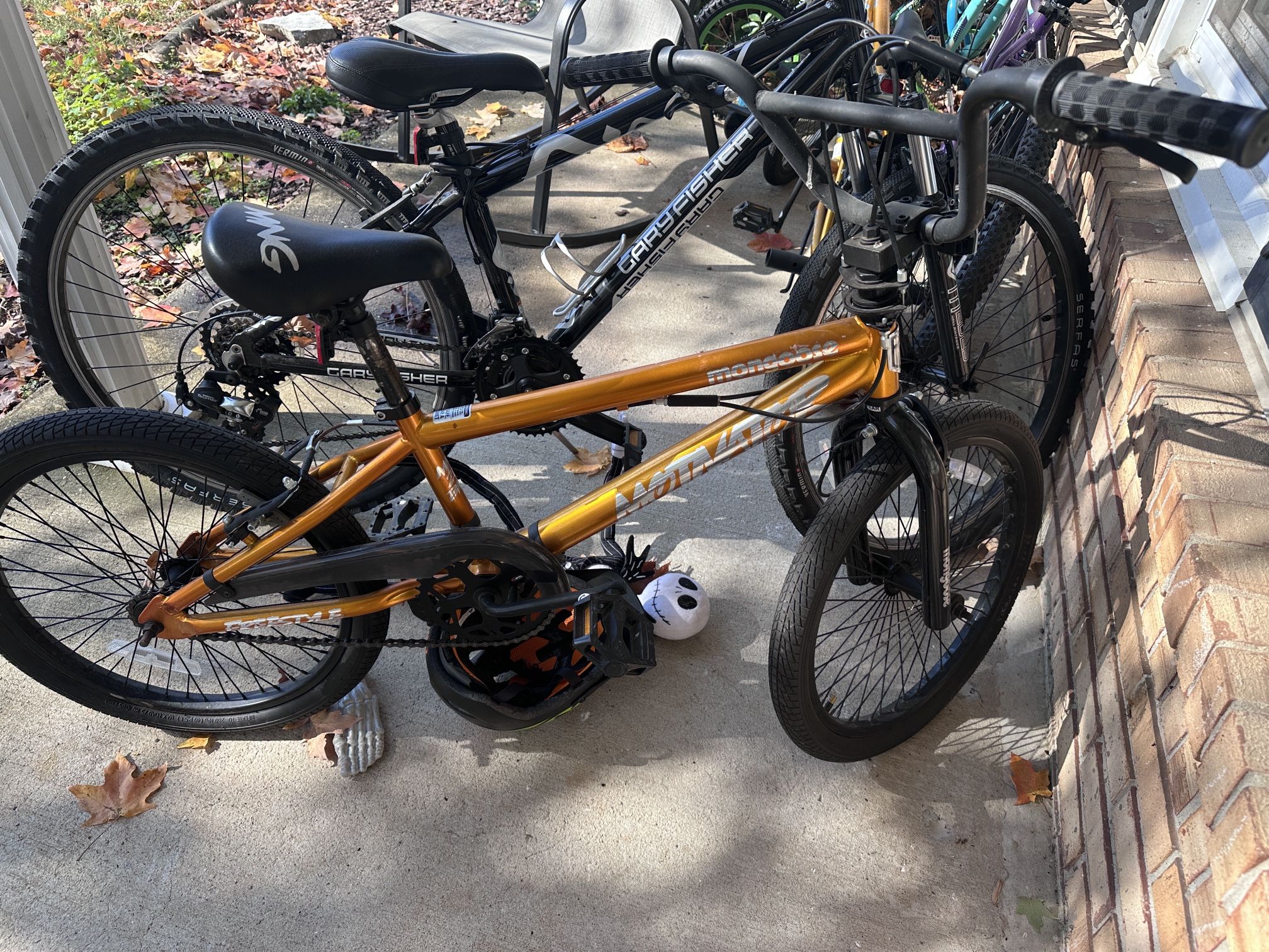 Mongoose 20” Bike