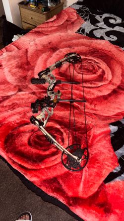 Compound bow for adults