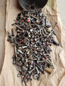Nuts,bolts And Screws Assorted Sizes