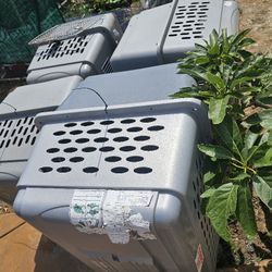 Crates for Dogs