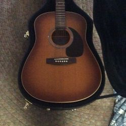 Seagull Acu Guitar