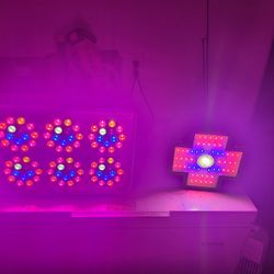 LED Grow Lights professional grade-Boost Your Harvest!