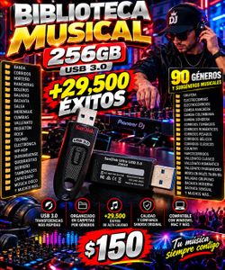 SanDisk 256GB USB 3.0 Music Library