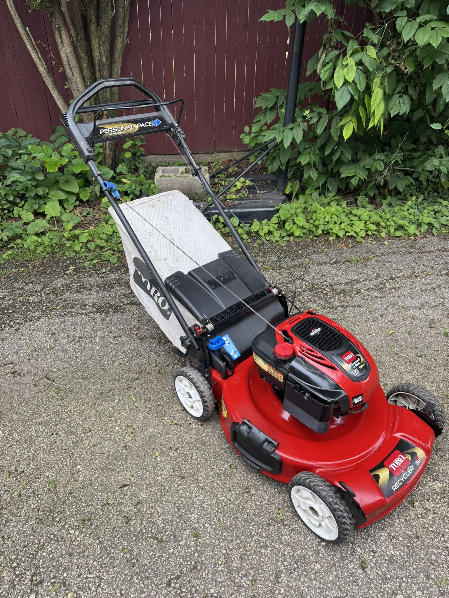 TORO Lawn Mower7.25hp 190cc 22” Self Propelled