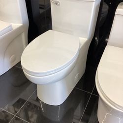 Royal One Piece Single Flush Toilet