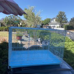 Birds Cage 