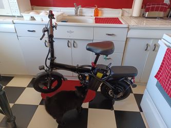 Ebike