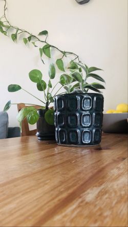 Small Plant Holder