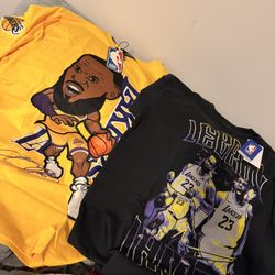 LeBron James Shirts