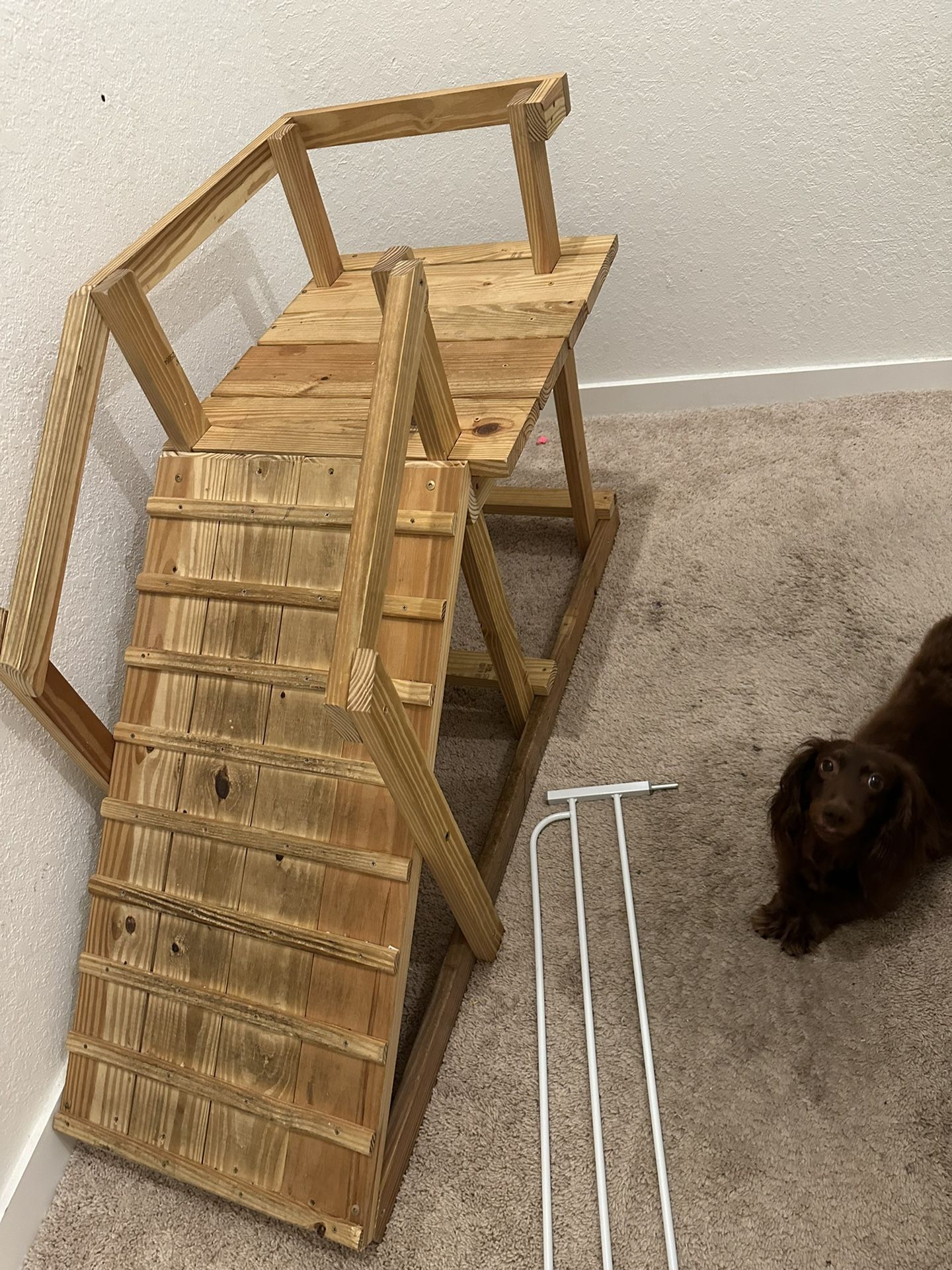 Custom Made Sturdy Dog Ramp