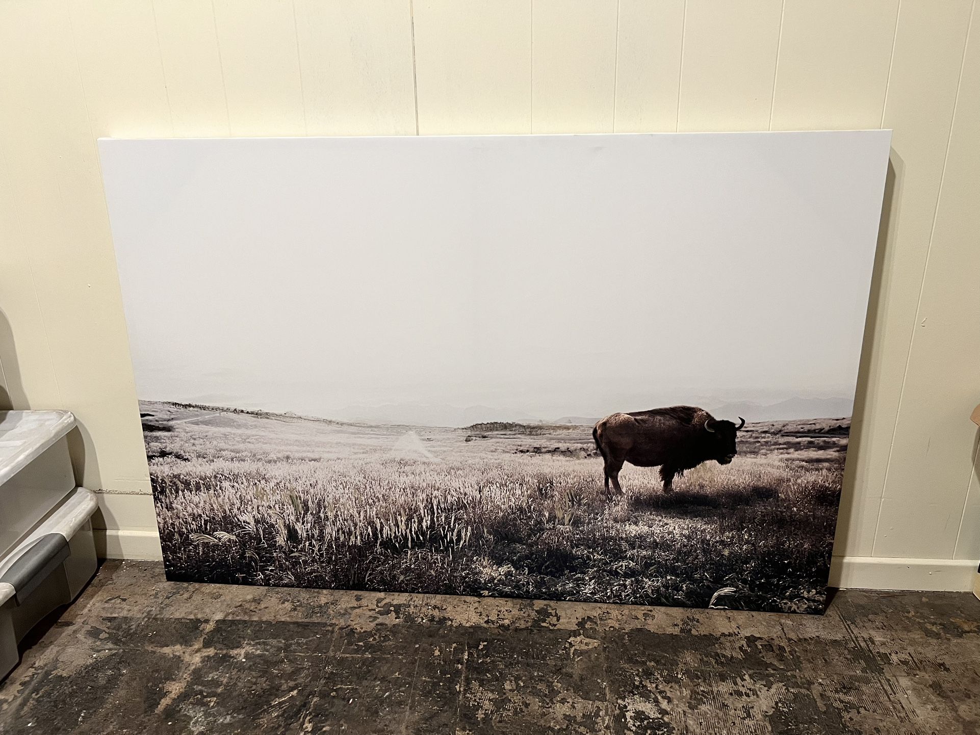 FREE! Canvas Print