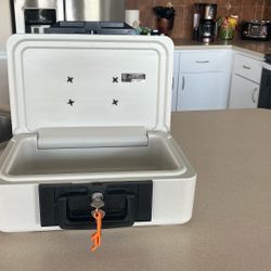 Sentry 1100 Fire-Safe Security Box