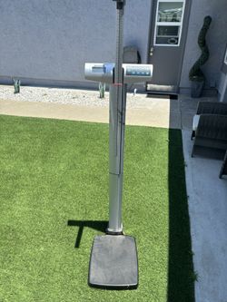 Hospital Scale