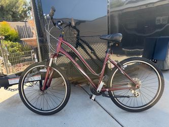 Giant bicycle