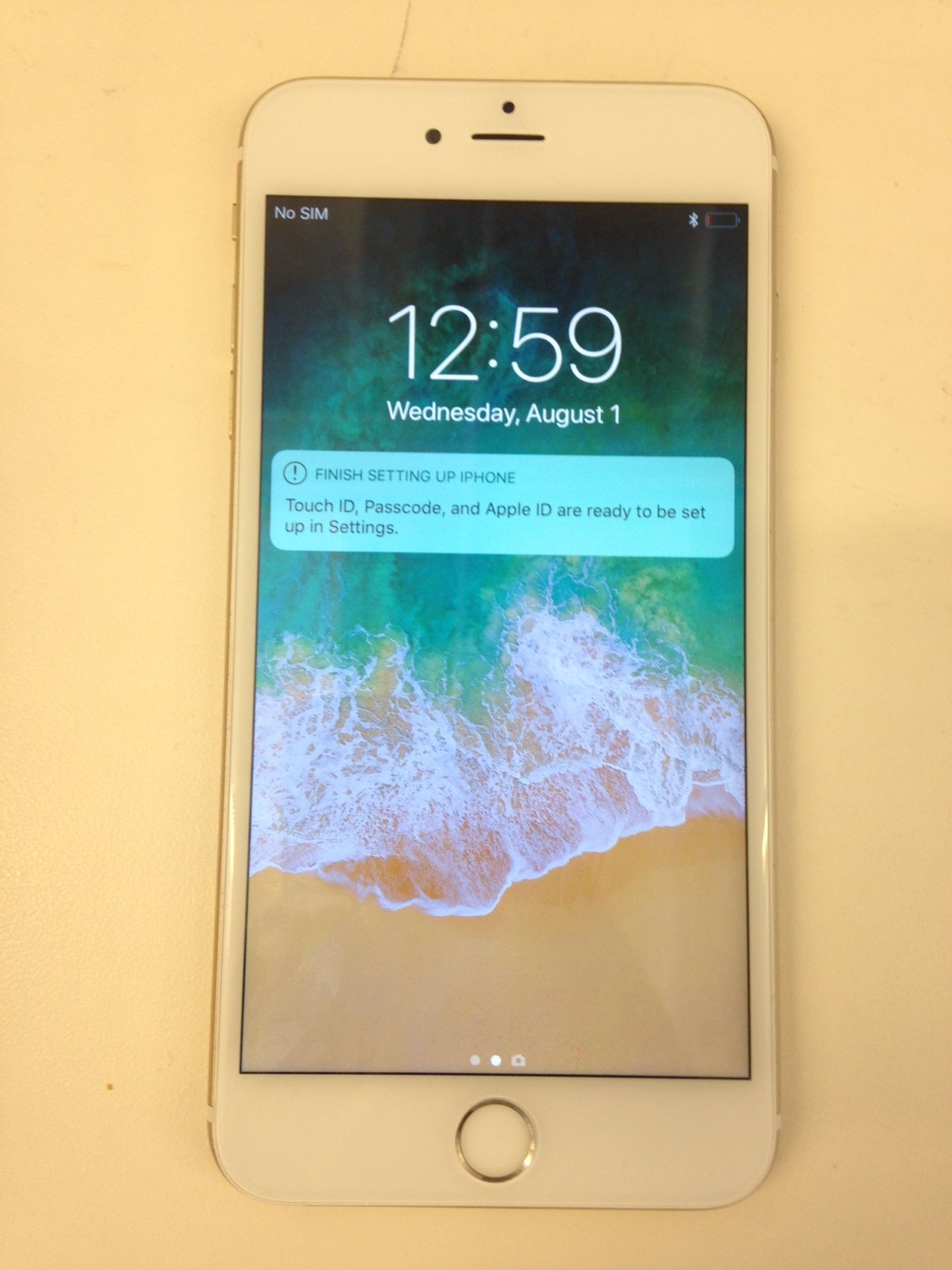 Apple iPhone 6s Plus A1687