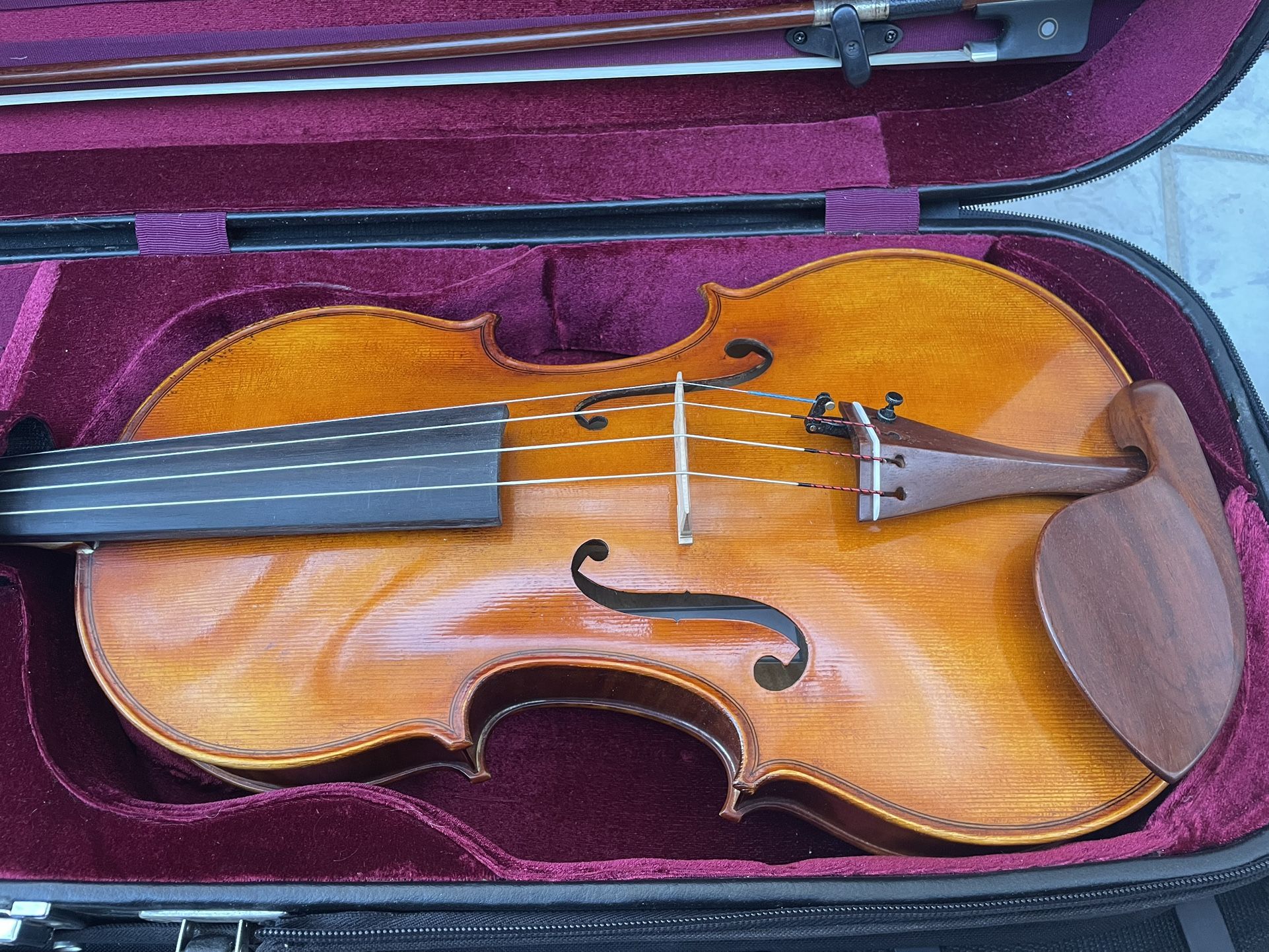 Santaro Lucci Viola 15.5”