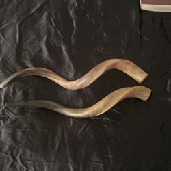 Two Shofars