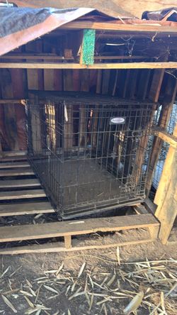 Large dog kennels